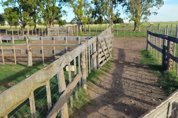 Caminos y cercos de madera en zona de trabajo ganadero en finca rural en Buenos Aires 