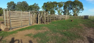 Corrales de madera en sector ganadero de finca rural en Buenos Aires.