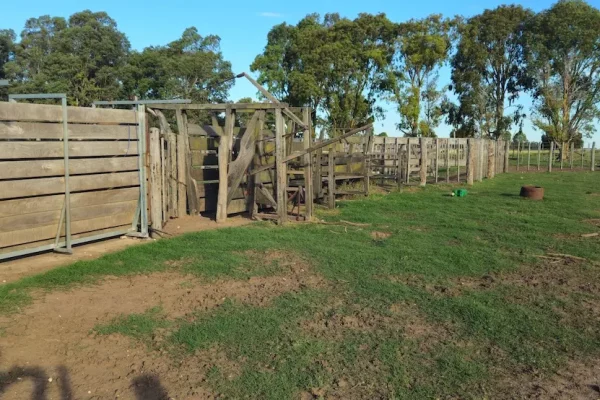 Corrales de madera en sector ganadero de finca rural en Buenos Aires.