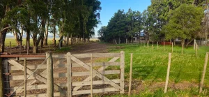 Portón de madera y camino rodeado de árboles en finca rural en Buenos Aires. 