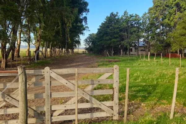 Portón de madera y camino rodeado de árboles en finca rural en Buenos Aires. 