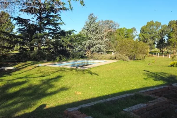 Vista del parque con piscina rodeada de árboles en finca rural en Buenos Aires 