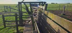 Manga para hacienda con campo abierto al fondo en finca rural en Buenos Aires 