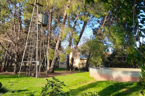 Molino de viento y tanque entre árboles en finca rural en Buenos Aires .
