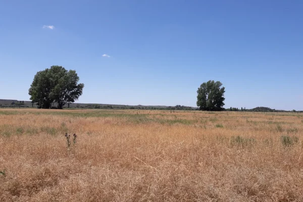 Campo agrícola en Río Negro Patagonia Argentina con paisaje abierto y potencial productivo