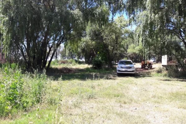 Acceso arbolado a campo agrícola en Río Negro Patagonia Argentina.