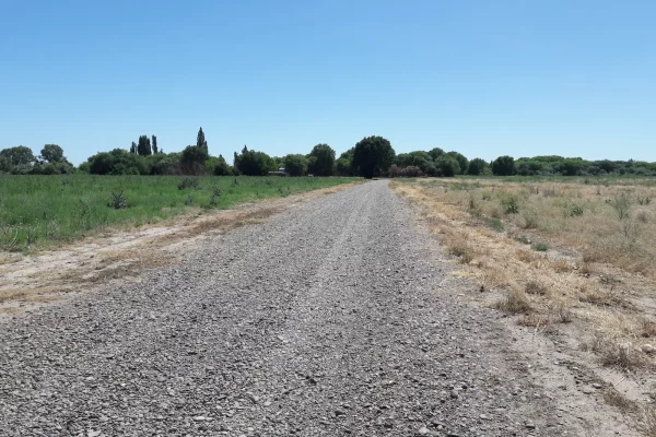 Camino con alfalfa a ambos lados .Río Negro Patagonia Argentina.