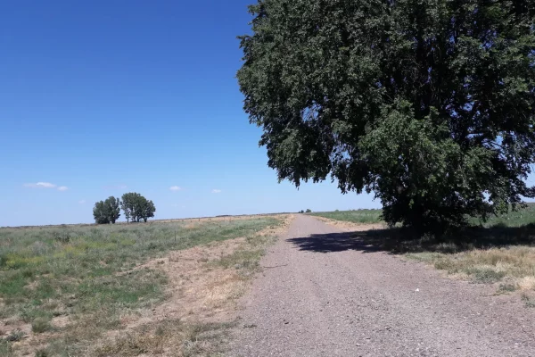 Camino interno de acceso dentro de campo agrícola en Río Negro Patagonia Argentina.