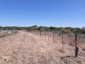 Límites rurales del campo agrícola en Río Negro Patagonia Argentina.