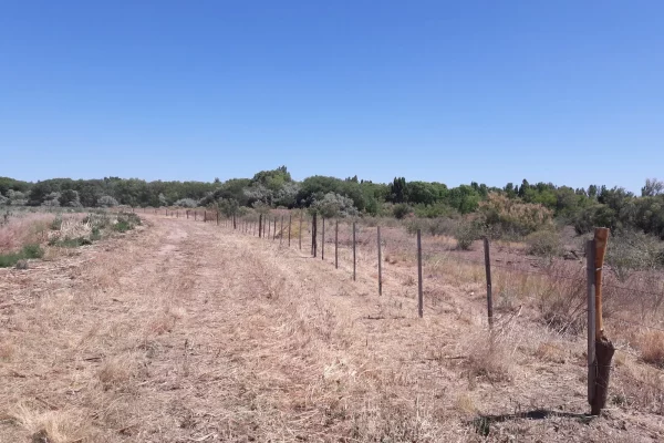 Límites rurales del campo agrícola en Río Negro Patagonia Argentina.