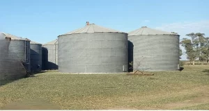 Silos agrícolas en establecimiento rural en Algarrobo Buenos Aires. 