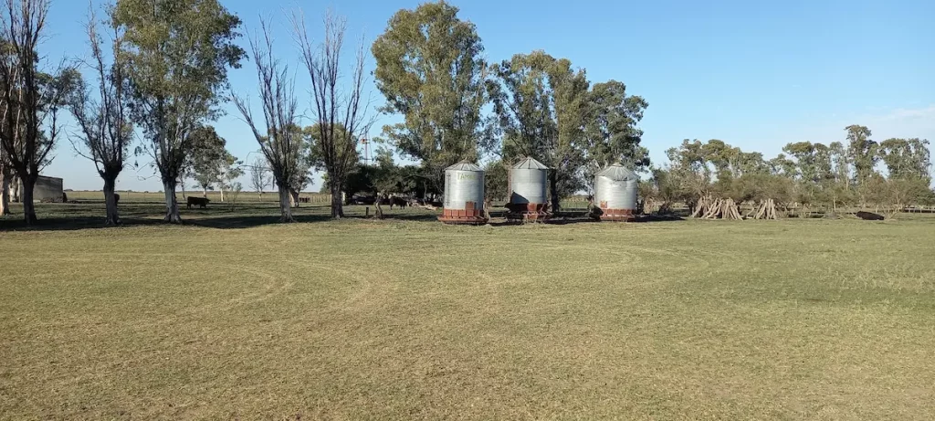 Silos de almacenamiento de granos en campo Algarrobo Buenos Aires. 