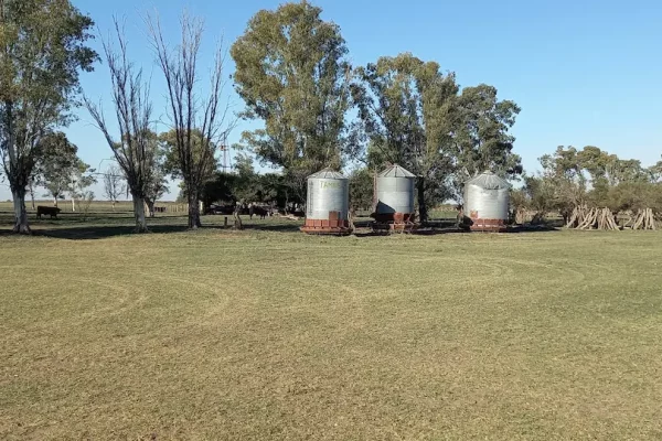 Silos de almacenamiento de granos en campo Algarrobo Buenos Aires. 