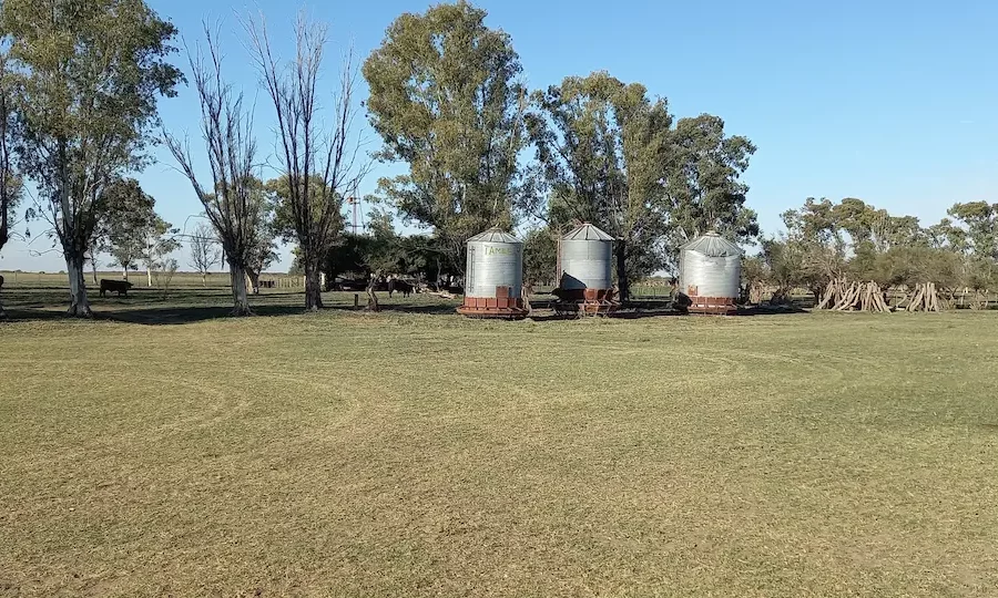 Silos de almacenamiento de granos en campo Algarrobo Buenos Aires. 