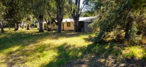 Vivienda principal rodeada de arboleda en el establecimiento rural